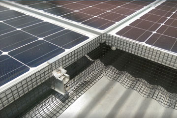 bird proofing solar panels